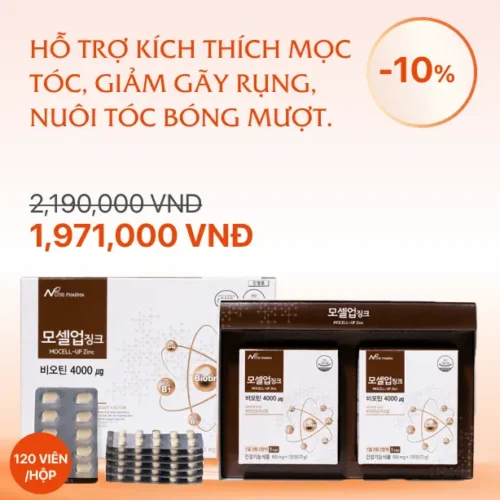 Viên uống hỗ trợ tóc khoẻ Biotin Mocel - Up Zinc